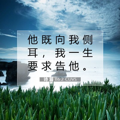 Picture 07 - 诗 篇 116:2 CUVS - 他 既 向 我 侧 耳 ， 我 一 生 要 求 - Bible Verse Picture