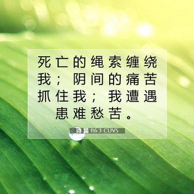 Picture 07 - 诗 篇 116:3 CUVS - 死 亡 的 绳 索 缠 绕 我 ； 阴 间 的 - Bible Verse Picture