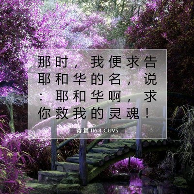 Picture 07 - 诗 篇 116:4 CUVS - 那 时 ， 我 便 求 告 耶 和 华 的 名 - Bible Verse Picture