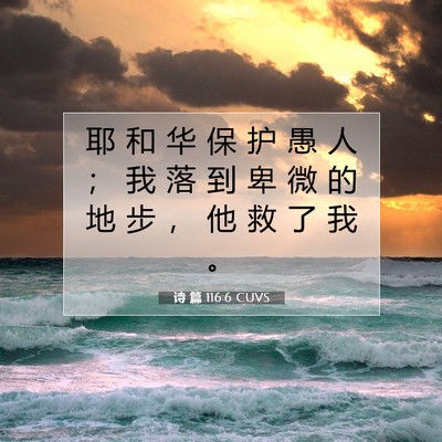 Picture 07 - 诗 篇 116:6 CUVS - 耶 和 华 保 护 愚 人 ； 我 落 到 卑 - Bible Verse Picture