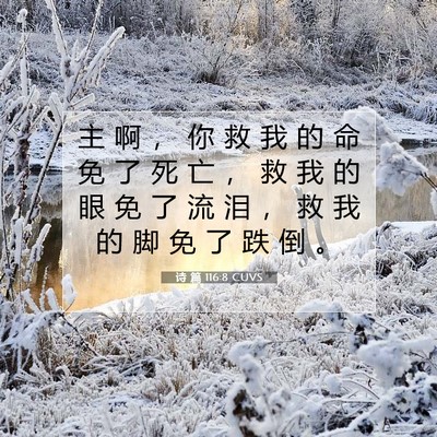 Picture 07 - 诗 篇 116:8 CUVS - 主 啊 ， 你 救 我 的 命 免 了 死 亡 - Bible Verse Picture