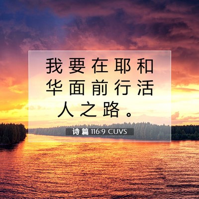 Picture 07 - 诗 篇 116:9 CUVS - 我 要 在 耶 和 华 面 前 行 活 人 之 - Bible Verse Picture