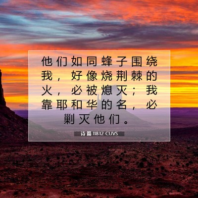Picture 07 - 诗 篇 118:12 CUVS - 他 们 如 同 蜂 子 围 绕 我 ， 好 像 - Bible Verse Picture