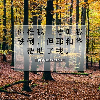 Picture 07 - 诗 篇 118:13 CUVS - 你 推 我 ， 要 叫 我 跌 倒 ， 但 耶 - Bible Verse Picture