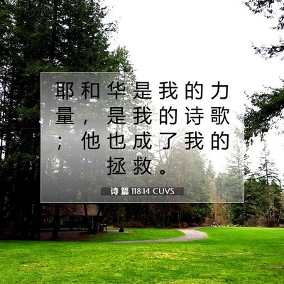 Picture 07 - 诗 篇 118:14 CUVS - 耶 和 华 是 我 的 力 量 ， 是 我 的 - Bible Verse Picture