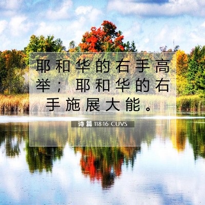 Picture 07 - 诗 篇 118:16 CUVS - 耶 和 华 的 右 手 高 举 ； 耶 和 华 - Bible Verse Picture