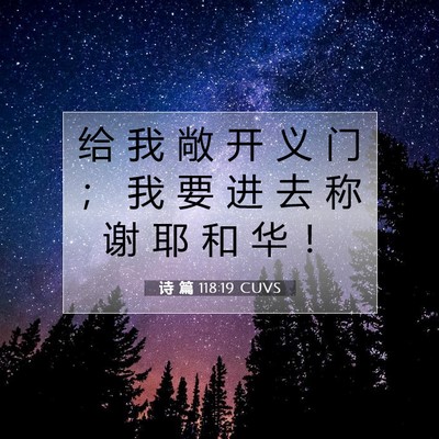 Picture 07 - 诗 篇 118:19 CUVS - 给 我 敞 开 义 门 ； 我 要 进 去 称 - Bible Verse Picture