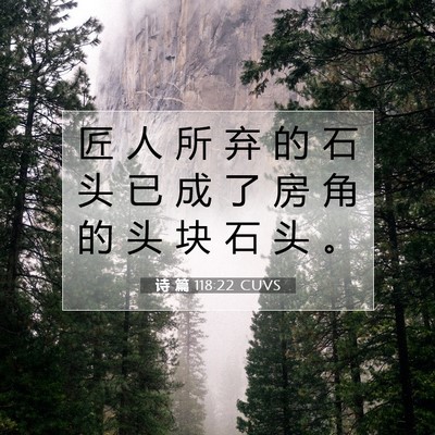 Picture 07 - 诗 篇 118:22 CUVS - 匠 人 所 弃 的 石 头 已 成 了 房 角 - Bible Verse Picture
