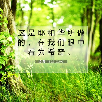 Picture 07 - 诗 篇 118:23 CUVS - 这 是 耶 和 华 所 做 的 ， 在 我 们 - Bible Verse Picture