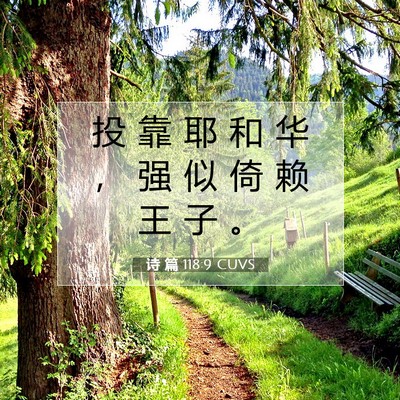 Picture 07 - 诗 篇 118:9 CUVS - 投 靠 耶 和 华 ， 强 似 倚 赖 王 子 - Bible Verse Picture