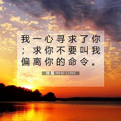 Picture 07 - 诗 篇 119:10 CUVS - 我 一 心 寻 求 了 你 ； 求 你 不 要 - Bible Verse Picture