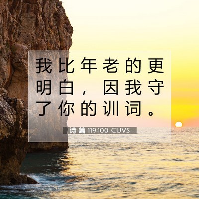 Picture 07 - 诗 篇 119:100 CUVS - 我 比 年 老 的 更 明 白 ， 因 我 守 - Bible Verse Picture