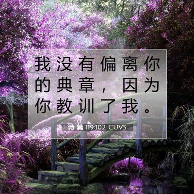 Picture 07 - 诗 篇 119:102 CUVS - 我 没 有 偏 离 你 的 典 章 ， 因 为 - Bible Verse Picture