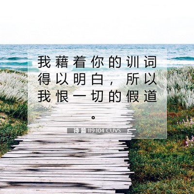 Picture 07 - 诗 篇 119:104 CUVS - 我 藉 着 你 的 训 词 得 以 明 白 ， - Bible Verse Picture