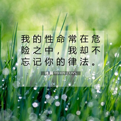 Picture 07 - 诗 篇 119:109 CUVS - 我 的 性 命 常 在 危 险 之 中 ， 我 - Bible Verse Picture