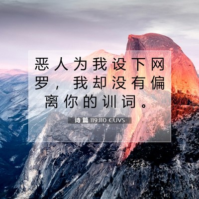 Picture 07 - 诗 篇 119:110 CUVS - 恶 人 为 我 设 下 网 罗 ， 我 却 没 - Bible Verse Picture