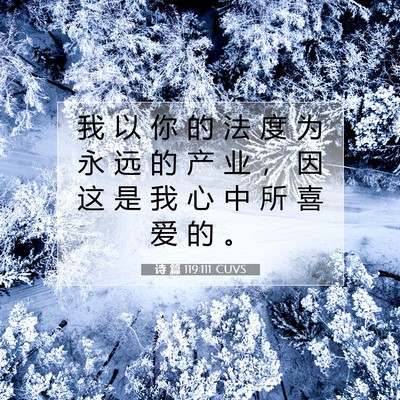 Picture 07 - 诗 篇 119:111 CUVS - 我 以 你 的 法 度 为 永 远 的 产 业 - Bible Verse Picture