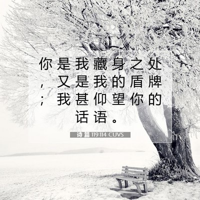 Picture 07 - 诗 篇 119:114 CUVS - 你 是 我 藏 身 之 处 ， 又 是 我 的 - Bible Verse Picture