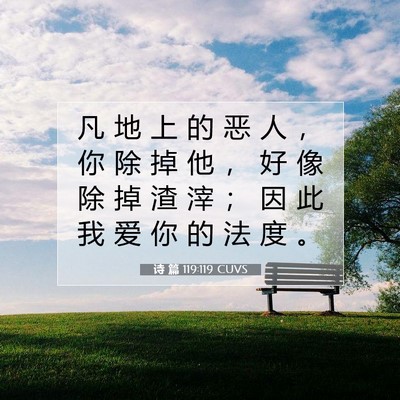 Picture 07 - 诗 篇 119:119 CUVS - 凡 地 上 的 恶 人 ， 你 除 掉 他 ， - Bible Verse Picture