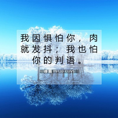 Picture 07 - 诗 篇 119:120 CUVS - 我 因 惧 怕 你 ， 肉 就 发 抖 ； 我 - Bible Verse Picture