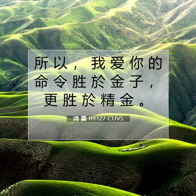 Picture 07 - 诗 篇 119:127 CUVS - 所 以 ， 我 爱 你 的 命 令 胜 於 金 - Bible Verse Picture