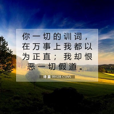 Picture 07 - 诗 篇 119:128 CUVS - 你 一 切 的 训 词 ， 在 万 事 上 我 - Bible Verse Picture