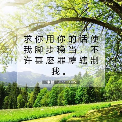 Picture 07 - 诗 篇 119:133 CUVS - 求 你 用 你 的 话 使 我 脚 步 稳 当 - Bible Verse Picture