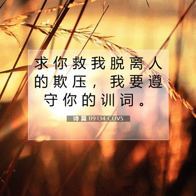 Picture 07 - 诗 篇 119:134 CUVS - 求 你 救 我 脱 离 人 的 欺 压 ， 我 - Bible Verse Picture