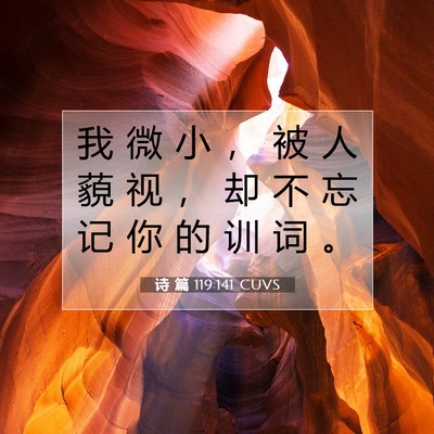 Picture 07 - 诗 篇 119:141 CUVS - 我 微 小 ， 被 人 藐 视 ， 却 不 忘 - Bible Verse Picture
