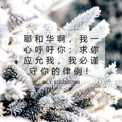 Picture 07 - 诗 篇 119:145 CUVS - 耶 和 华 啊 ， 我 一 心 呼 吁 你 ； - Bible Verse Picture