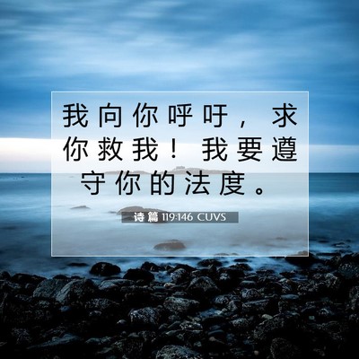 Picture 07 - 诗 篇 119:146 CUVS - 我 向 你 呼 吁 ， 求 你 救 我 ！ 我 - Bible Verse Picture