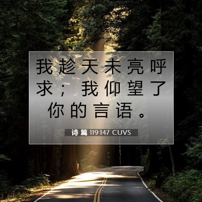 Picture 07 - 诗 篇 119:147 CUVS - 我 趁 天 未 亮 呼 求 ； 我 仰 望 了 - Bible Verse Picture