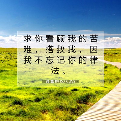 Picture 07 - 诗 篇 119:153 CUVS - 求 你 看 顾 我 的 苦 难 ， 搭 救 我 - Bible Verse Picture