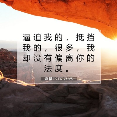 Picture 07 - 诗 篇 119:157 CUVS - 逼 迫 我 的 ， 抵 挡 我 的 ， 很 多 - Bible Verse Picture