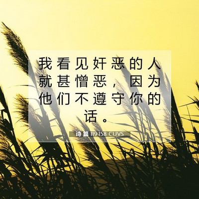 Picture 07 - 诗 篇 119:158 CUVS - 我 看 见 奸 恶 的 人 就 甚 憎 恶 ， - Bible Verse Picture