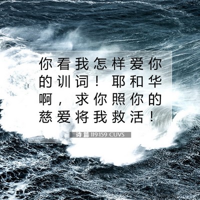 Picture 07 - 诗 篇 119:159 CUVS - 你 看 我 怎 样 爱 你 的 训 词 ！ 耶 - Bible Verse Picture