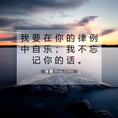 Picture 07 - 诗 篇 119:16 CUVS - 我 要 在 你 的 律 例 中 自 乐 ； 我 - Bible Verse Picture