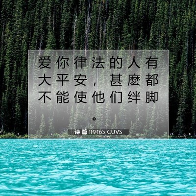 Picture 07 - 诗 篇 119:165 CUVS - 爱 你 律 法 的 人 有 大 平 安 ， 甚 - Bible Verse Picture