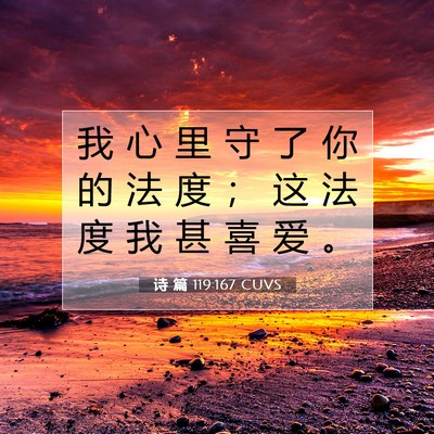 Picture 07 - 诗 篇 119:167 CUVS - 我 心 里 守 了 你 的 法 度 ； 这 法 - Bible Verse Picture