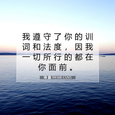 Picture 07 - 诗 篇 119:168 CUVS - 我 遵 守 了 你 的 训 词 和 法 度 ， - Bible Verse Picture