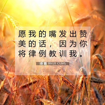 Picture 07 - 诗 篇 119:171 CUVS - 愿 我 的 嘴 发 出 赞 美 的 话 ， 因 - Bible Verse Picture