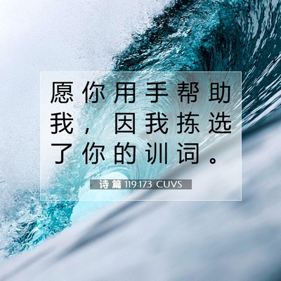 Picture 07 - 诗 篇 119:173 CUVS - 愿 你 用 手 帮 助 我 ， 因 我 拣 选 - Bible Verse Picture