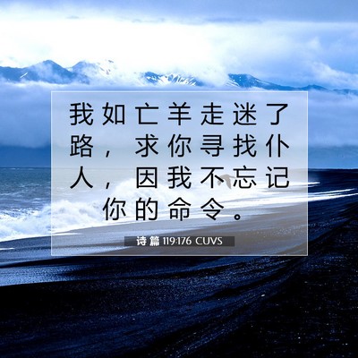 Picture 07 - 诗 篇 119:176 CUVS - 我 如 亡 羊 走 迷 了 路 ， 求 你 寻 - Bible Verse Picture