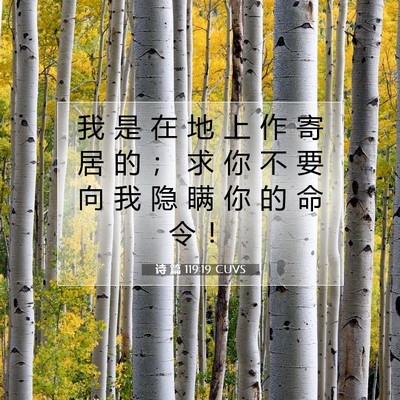 Picture 07 - 诗 篇 119:19 CUVS - 我 是 在 地 上 作 寄 居 的 ； 求 你 - Bible Verse Picture