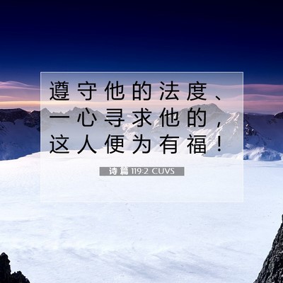 Picture 07 - 诗 篇 119:2 CUVS - 遵 守 他 的 法 度 、 一 心 寻 求 他 - Bible Verse Picture