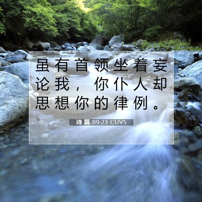 Picture 07 - 诗 篇 119:23 CUVS - 虽 有 首 领 坐 着 妄 论 我 ， 你 仆 - Bible Verse Picture