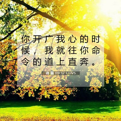 Picture 07 - 诗 篇 119:32 CUVS - 你 开 广 我 心 的 时 候 ， 我 就 往 - Bible Verse Picture