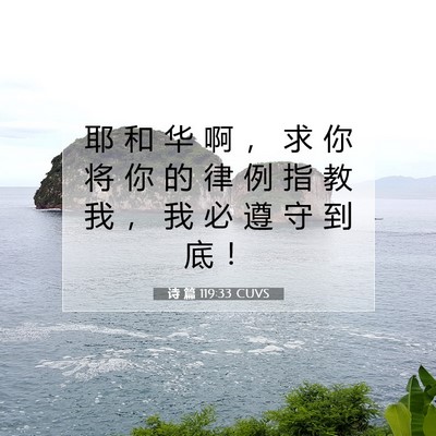 Picture 07 - 诗 篇 119:33 CUVS - 耶 和 华 啊 ， 求 你 将 你 的 律 例 - Bible Verse Picture