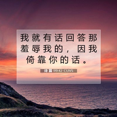Picture 07 - 诗 篇 119:42 CUVS - 我 就 有 话 回 答 那 羞 辱 我 的 ， - Bible Verse Picture