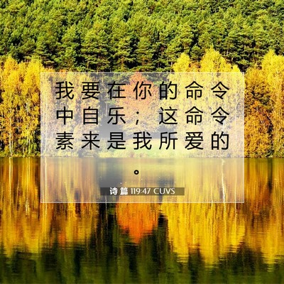 Picture 07 - 诗 篇 119:47 CUVS - 我 要 在 你 的 命 令 中 自 乐 ； 这 - Bible Verse Picture